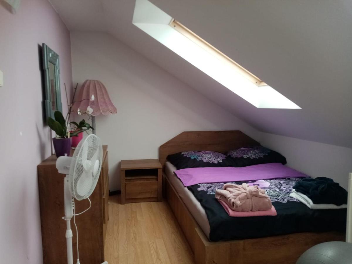 Podkrovni Apartman Tereza Apartment Rumburk Exterior photo