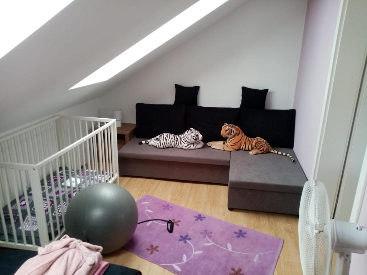 Podkrovni Apartman Tereza Apartment Rumburk Exterior photo